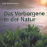 Viktor Schauberger: Das Verborgene in der Natur - Die wegweisenden Einsichten von Viktor Schauberger