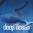 Deep Ocean - Atemberaubende Reise in die faszinierenden Tiefen des Meeres - BBC DVD