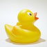 Wasserwelten - Wissen über Wasser für Kinder Wasserwelten - Wissen über Wasser für Kinder