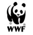 WWF begrüßt historische Entscheidung für Meeresschutzgebiet im Atlantik