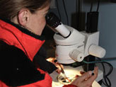 © Alfred-Wegener-Institut für Polar- und Meeresforschung