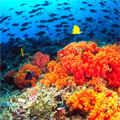 biodiversity