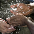 hands