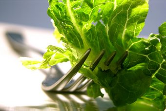 Dieses Bild zeigt vitalisierten Salat durch Wasservitalisierung bei der Salatherstellung