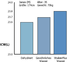 Dieses Bild zeigt das Ergebniss des Vitalizer Plus Bioelektrische Impedanzanalayse